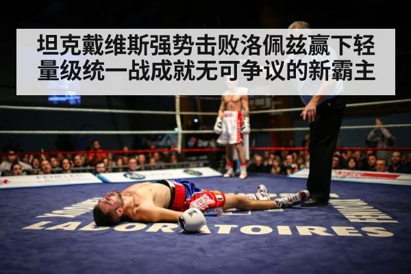 boxer knockout