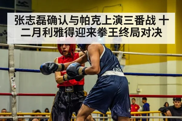 张志磊确认与帕克上演三番战 十二月利雅得迎来拳王终局对决
