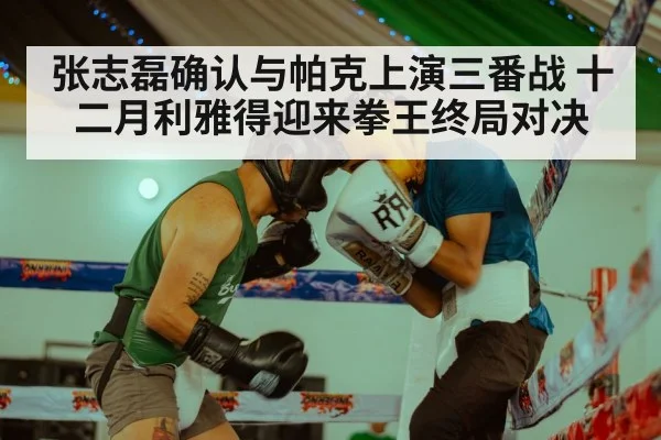 boxing gloves action